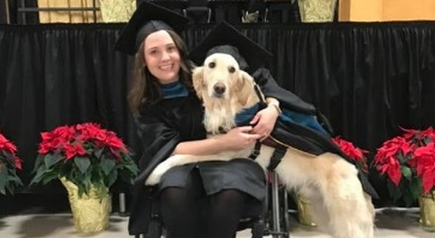 Aiuta la padroncina disabile all'università, laurea ad honorem al cane Griffin