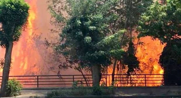 Ora brucia la collina di Posillipo, paura tra la gente | Fotogallery Altro incendio a Monte Sant'Angelo