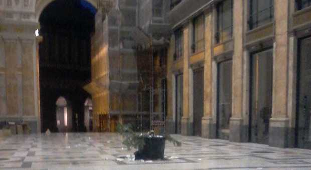 Napoli, primo raid delle babygang: già rubato l'albero di Natale nella Galleria Umberto