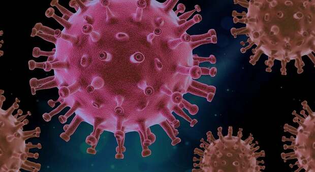 Malattia X, cos'è il virus che preoccupa l'Oms (e che potrebbe uccidere 20 volte più del Covid)