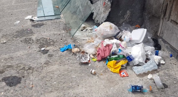 Napoli, erbacce, topi, rifiuti, sporcizia: piazza Mercato regno del degrado
