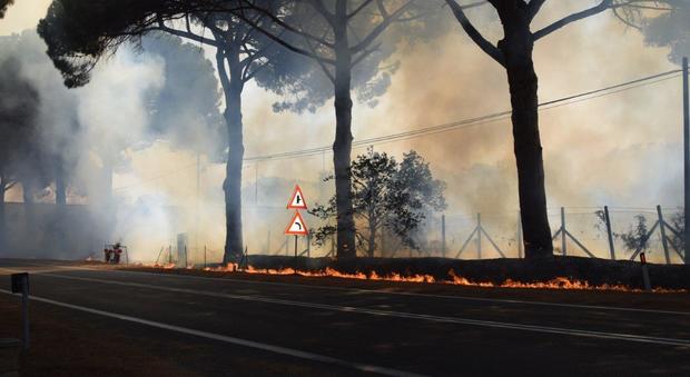 Roma, brucia l'Oasi Naturale del WWF di Palo Laziale
