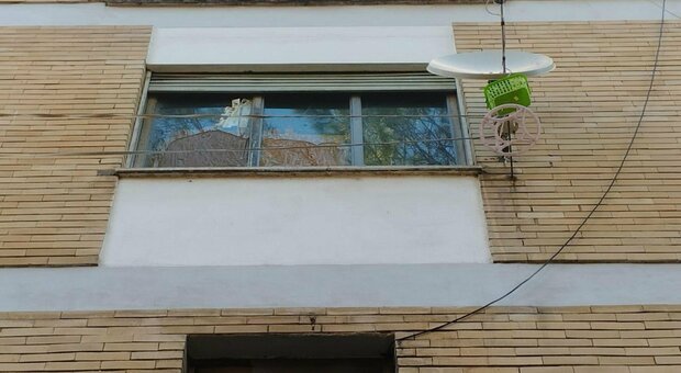 Hasib Omerovic, disabile rom giù dalla finestra a Roma: gli agenti non avevano il mandato di perquisizione