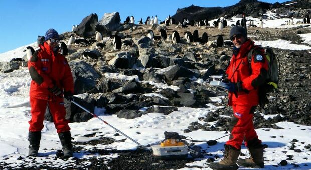 Ilaria Santin è andata in Antartide per fare ricerca