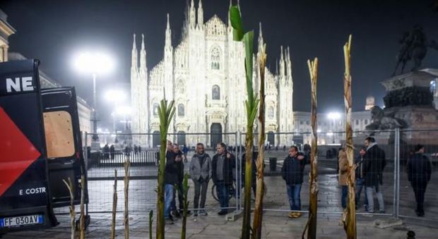 Milano, al Duomo dopo le palme arrivano i banani