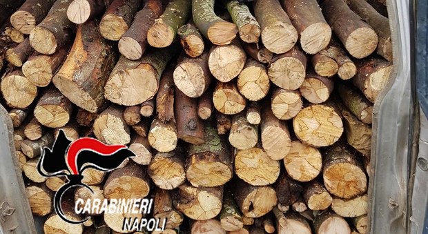 Roccarainola Rubava legname nella foresta regionale: arrestato 44enne