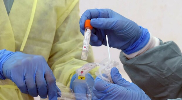 Coronavirus, meno tamponi testati ma 115 nuovi casi positivi nelle Marche