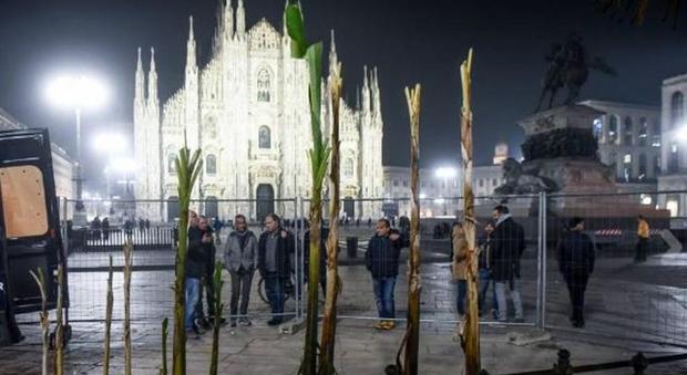 Le palme e i banani della discordia in piazza Duomo a Milano