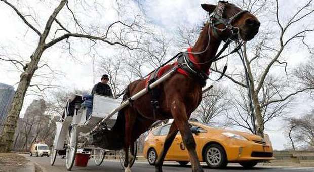 New York dice addio alle carrozze a cavalli: saranno sostituite da veicoli elettrici