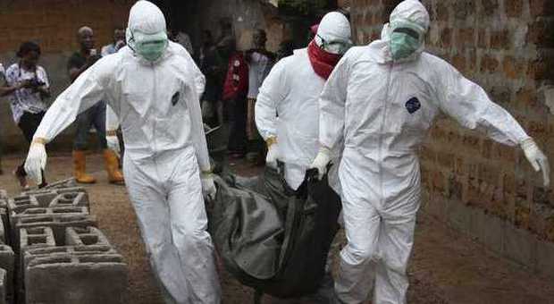 Ebola, Medici senza frontiere: sei mesi per mettere sotto controllo l'epidemia in Africa