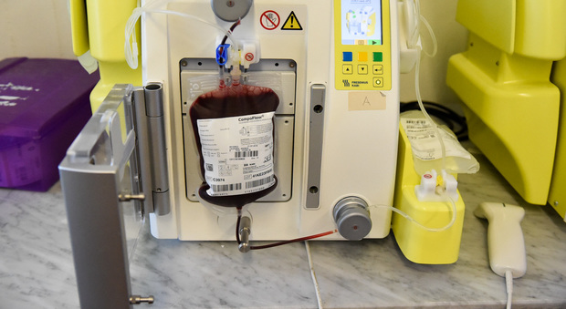 Un macchinario per la trattazione del sangue