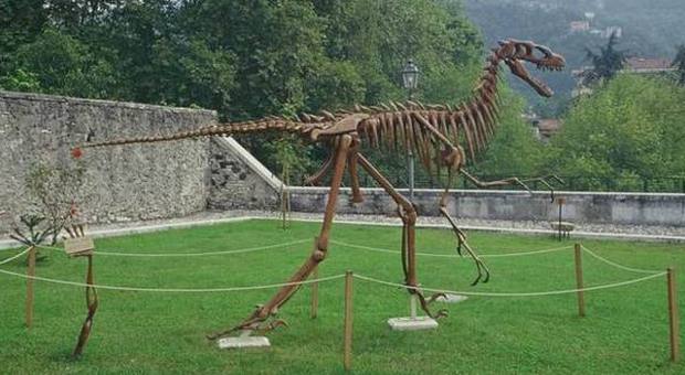 Lo scheletro di un velociraptor che accoglie i visitatori del Museo Dal Lago a Valdagno