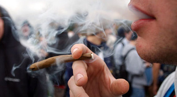 Droghe leggere, il New York Times: «Legalizzare la marijuana»
