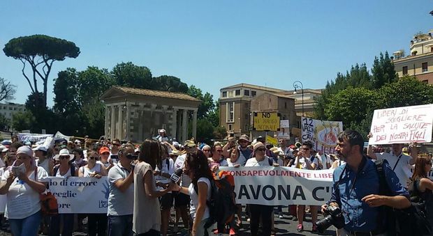 immagine Vaccini, manifestazione a Roma dei free-vax