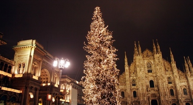 Milano, arriva il maxi albero di Natale che illuminerà piazza Duomo