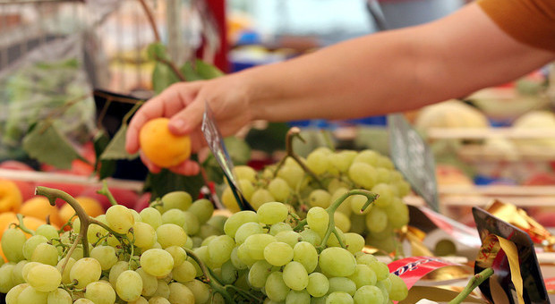 Istat, rallenta l'inflazione a maggio: frutta meno cara rispetto al 2018