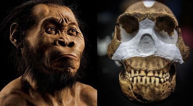 Sud Africa, scoperti i resti di un ominide L'Homo Naledi era alto un metro e mezzo