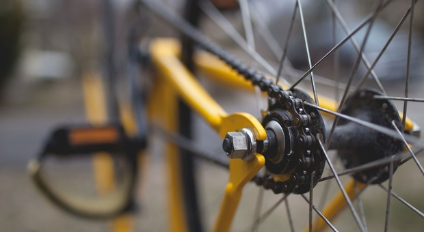 Scatta l'asta delle biciclette senza un padrone: ritrovate negli anni, nessuno le ha reclamate (Foto di Free-Photos da Pixabay)