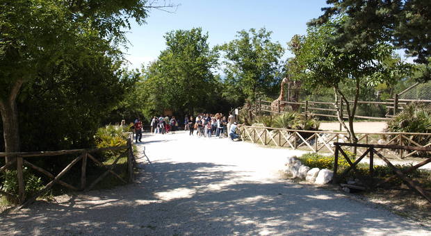 Accessi in sicurezza: parco zoo di Falconara, la stagione riparte giovedì 21 maggio