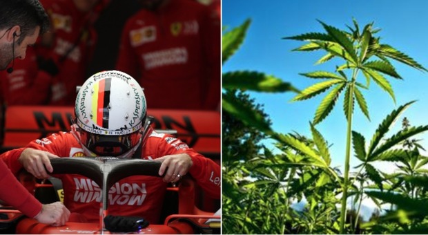 Vettel choc al Gp di Austin: «Odore di marijuana sul circuito, è una follia!»