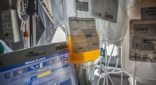 Nelle Marche già 15 donatori di plasma, ma non Bertolaso: «L'obiettivo è dimezzare la mortalità Covid»