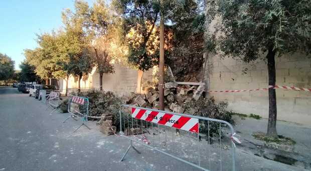 Tragedia sfiorata a Lecce, crolla il muro di un giardino in via Adua: travolta un'auto. Sul posto anche le unità cinofile