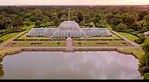 “Kew Gardens”, cortili segreti e distese di campanule: tour virtuale tra i giardini più belli della Gran Bretagna