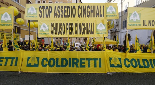 Roma, emergenza cinghiali: a Montecitorio protesta di agricoltori e allevatori da tutta Italia