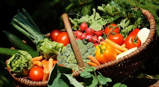 Diminuiscono i consumi di frutta e verdura: per bambini e adolescenti meno della metà del fabbisogno