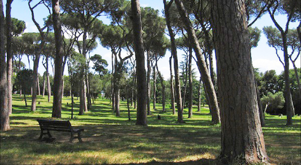 Roma, Picchia E Minaccia Di Morte La Compagna Costretta A Vivere In Una ...