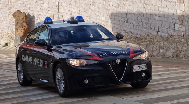 Belluno, ucciso a coltellate nel bar dopo una colluttazione: indagano i carabinieri