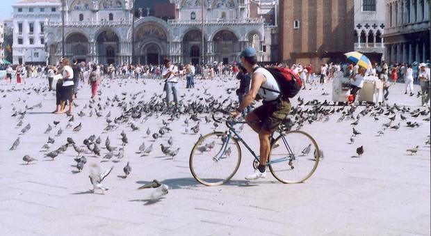 In bici fra i turisti in piazza S. Marco, giovane americano multato dai vigili