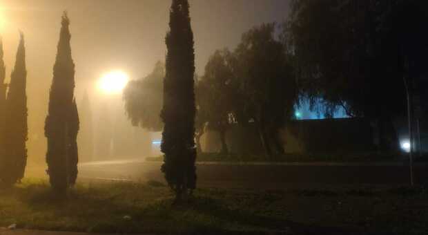 La città si sveglia in una coltre di nebbia: disagi alla circolazione sulla statale. Ritardi per treni e voli