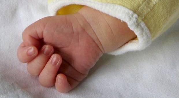 Vicenza, bimbo di 3 anni trovato senza vita nel letto: aperta un'inchiesta