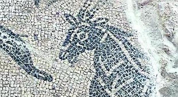 Pesci, cavalli e serpenti: alla luce nel rione Terra il mosaico ammirato da Cleopatra