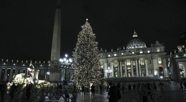 Papa Francesco ringrazia per l'albero di Natale che arriva dalle zone alluvionate, il clima sta cedendo