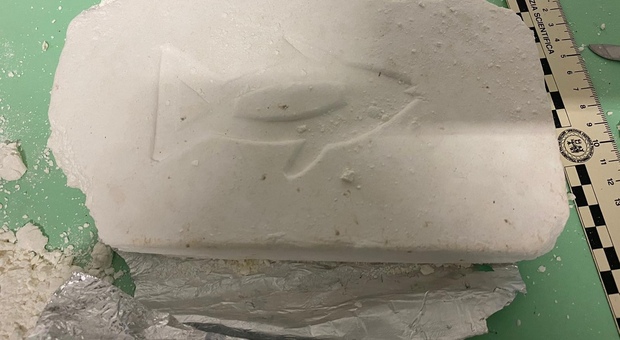 La cocaina trovata dalla polizia in un uliveto