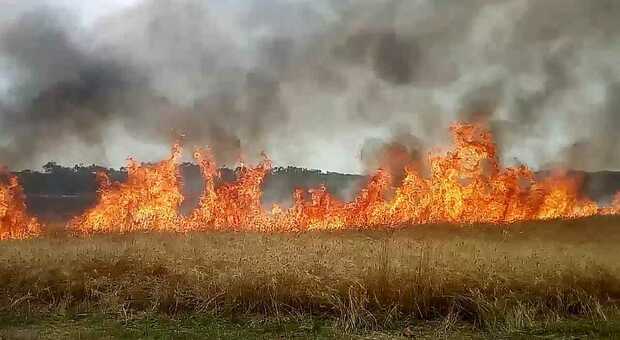 Incendio nei campi di grano: è di un imprenditore sotto scorta che aveva denunciato estorsioni.