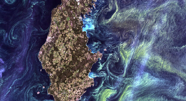 Gli oceani cambiano colore per «l'effetto Van Gogh», ecco cos'è e come influisce sul cambiamento climatico