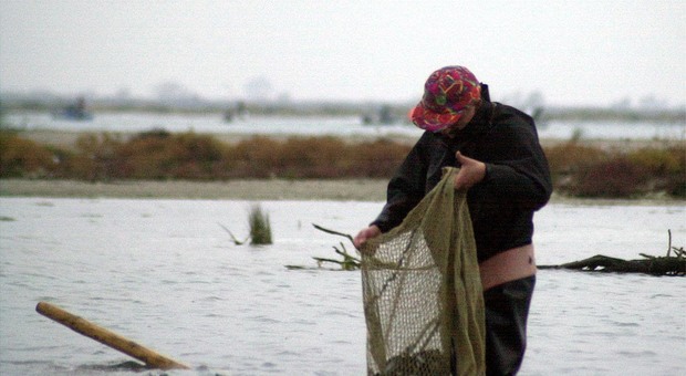 Allarme cooperative: la pesca delle vongole rischia di finire in ginocchio