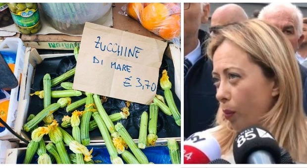 Giorgia Meloni e le 'zucchine di mare': la gaffe anti-Macron conquista Twitter
