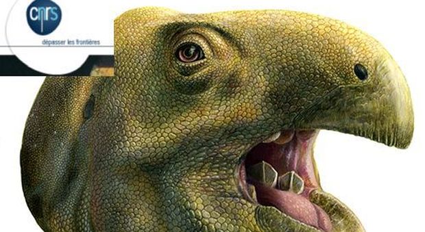 Ecco il dinosauro dal "sorriso tagliente". Aveva denti di 6 centimetri