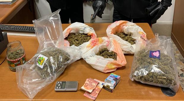 Droga: infiorescenze di marijuana nel ripostiglio di casa, arrestato giovane a Sabaudia
