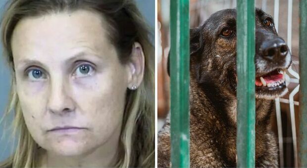 Aveva 55 cani in casa in condizioni di salute terribili e 5 cuccioli morti nel freezer: arrestata (per la seconda volta)