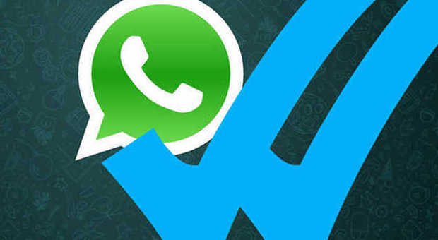 WhatsApp, privacy ko: ecco come sapere l'orario di lettura