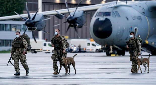 Kabul, il giallo dei cani soldato abbandonati. Animalisti accusano, ira Pentagono: «È falso»