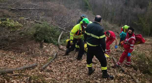 Taglia albero in un bosco: ferito a una gamba con la motosega