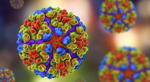 Virus chikungunya minaccia l'Italia, i sintomi: dai dolori muscolari al mal di testa. Usa approvano il primo vaccino