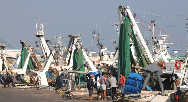 San Benedetto, la rabbia dei pescatori: «Fossa di Pomo per i croati e noi costretti a stare fermi»