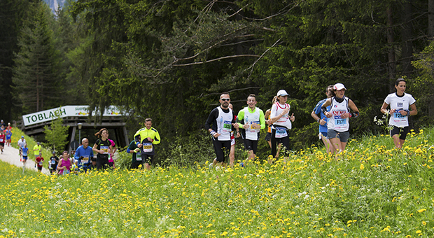 Cortina-Dobbiaco, 2.000 runner iscritti. Un fine settimana dedicato alle corse. Il programma